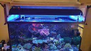 Illuminate large warehouses, factories, and arenas with the bright, white light of these metal halide bulbs. Virginia 48 Metal Halide And T5 Combo 250 Reef2reef Saltwater And Reef Aquarium Forum