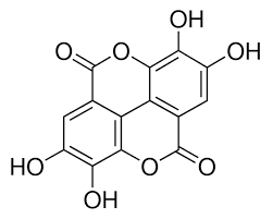 Cinnamon spice — powdered tree. Ellagic Acid 95 Hplc Powder From Tree Bark 476 66 4