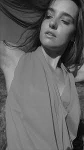 Dossier artistique REYNES