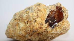 Jenis jenis transistor beserta gambarnya. Apa Itu Ambergris Muntahan Paus Bak Harta Karun Yang Bernilai Miliaran Rupiah Halaman All Tribun Batam