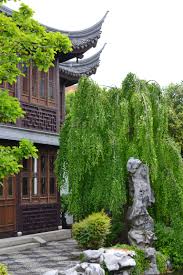 Wordpress Com Chinese Garden Traditional Garden Cool Plants