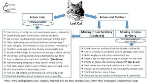 Check your cat for possible bite wounds or cuts or scrapes which may require immediate veterinary. Lost Cat Checklist Lost Cat Losing A Pet Cats