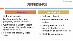 Difference between plant cell and animal cell in english. Neet Ug Difference Between Animal Cell And Plant Cell In Hindi Offered By Unacademy