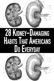 Change These Habits Before You Damage Your Kidneys In 2020 Health Benefits Kidney Health Health Info