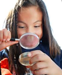 Daily Published Photos: Oct. 12, 2010