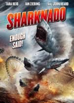 Kopekbaligi Istilasi Sharknado Filmi Sinemalar Com