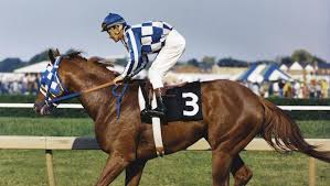 Secretariat The Preakness And A 39 Year Controversy