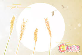 The traditional chinese calendar divides a year into 24 solar terms. èŠ'ç§çš„å«ä¹‰æ˜¯ä»€ä¹ˆæ„æ€èŠ'ç§å«ä¹‰è§£é‡Š åäºŒæ˜Ÿåº§ç½'