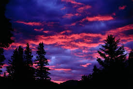 Matthew Duque Alvarado