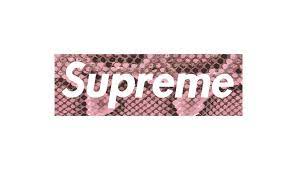 The 20 Most Obscure Supreme Box Logo Tees Highsnobiety Supreme Box Logo Tee Supreme Box Logo Supreme Wallpaper