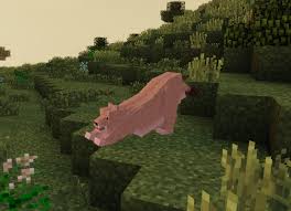 Here are the 15 best minecraft mods for fantastic new worlds, vital quality of life improvements, and exciting endgame progression. Minecraft Zoo Wild Animals Rebuilt Zawa Mod 2021 Download