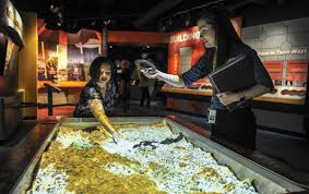 The cook museum is just one of the many great reasons to make decatur your home town. A Peek Into The Cook Museum Of Natural Science Timesdaily Com