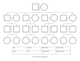 pedigree chart template