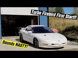 Image result for Bright White 1996 Firebird