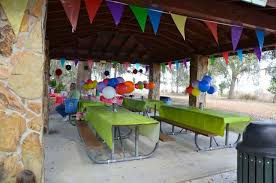 How To Decorate The Pavilion Birthday Party At Park Park Birthday Park Party Decorations