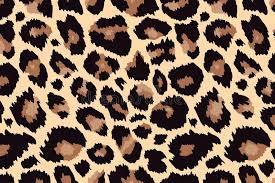 Maybe you would like to learn more about one of these? Leopard Stock Illustrationen Vektoren Kliparts 54 567 Stock Illustrationen