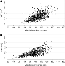 Associations of Abdominal Subcutaneous and Visceral Fat with Insulin  Resistance and Secretion Differ Between Men and Women: The Netherlands  Epidemiology of Obesity Study