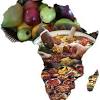 Peel, wash and boil yam till its well cooked, pound, mold into balls and set aside. 3