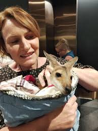 JLC in the time of COVID-19