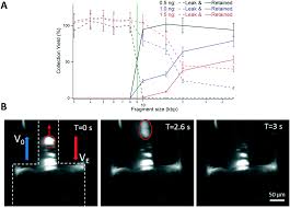 Ø griffin & associates, l.l.c. A Tunable Filter For High Molecular Weight Dna Selection And Linked Read Sequencing Lab On A Chip Rsc Publishing