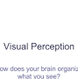 Visual Perception ppt from docs.google.com