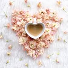 Discover what it would be like to live in the sherman oaks neighborhood of los angeles, ca straight from people who live here. Yakoot Rube Yakootrube Profile Pinterest