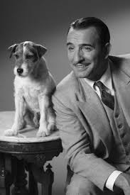 Dujardin won voor zijn rol de prijs van beste acteur op het filmfestival van cannes. The Artist The Artist Movie Jean Dujardin Cinema