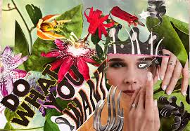 First collage project in this group