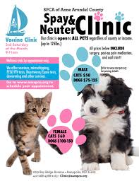 We can offer this high quality care for your pet because our staff specializes in spay/neuter surgery. Spay Neuter Clinic Spca Of Anne Arundel County