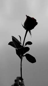 Pinturas Fotografi Abstrak Latar Belakang Gambar Kastil