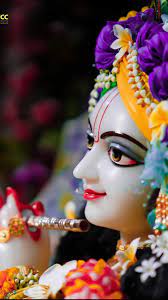 Jai Shri Krishna Lord Krishna Wallpapers Lord Krishna Hd Wallpaper Krishna Wallpaper
