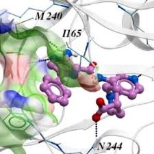 Jon Loren's research works