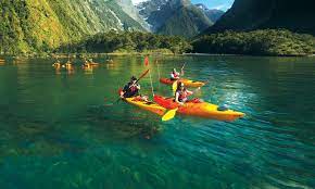 Kayaking Through The Serene Waters Of Harrison Cove Milford Sound New Zealand Destinations Australia Vacation Australia Travel
