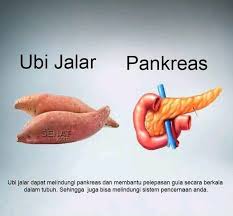 Efeknya bisa membuat hati bekerja terlalu keras dan meningkatkan terbentuknya batu empedu. 10 Makanan Ini Mirip Organ Tubuh Manusia Manfaatnya Juga Hebat
