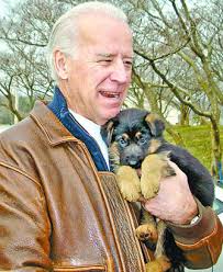 They will arrive at their new home current on all age appropriate vaccinations and. Biden Buys A German Shepherd Puppy From A Pa Kennel