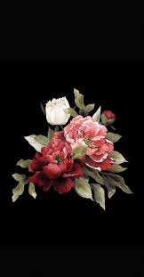 Best Flowers Background Quotes Iphone Wallpapers Ideas Flower Background Iphone Black Phone Wallpaper Flower Backgrounds