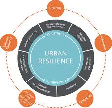 Principles Of Resilience Jpg 2693 2591