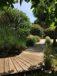allee jardin bois bord de mer ile de re idee allee de jardin jardin en pente amenagement jardin en pente