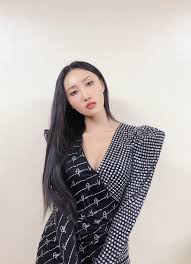Hwasa In 2020 Mamamoo Hwasa Fashion