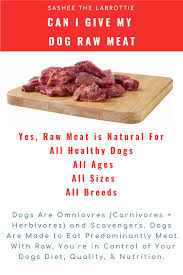 Check spelling or type a new query. Can I Give My Dog Raw Meat Dog Raw Diet Raw Dog Food Recipes Eating Raw