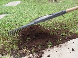 We did not find results for: From Coffee Grounds To Lawn Fertilizer Ground To Ground