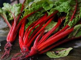 Swiss Chard Seeds For Sale Red Rhubarb Swiss Chard Chard