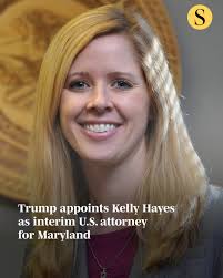 Prosecutor Kelly Hayes has been appointed interim U.S. attorney for  Maryland after first joining the office in 2013, according to a news  release from the Maryland U.S. Attorney's Office. “I have spent