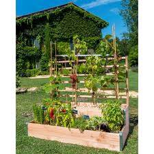 Ce panneau de treillis décoratif et durable, à mailles allongées, est composé de fils galvanisés, recouverts ensuite d'une couche d'époxy. Carre Potager A 2 Etages Avec Treillis En Bois Douglas Non Traite 125 X 60 X