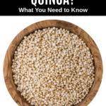 Can Dogs Eat Quinoa What To Know About Dogs And Quinoa