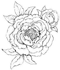 Pin By Tripon Alina On Power Poppy Digital Flowers Watercolor Flowers Art