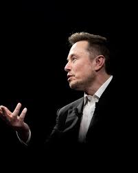 Elon Musk, CEO da Tesla e da SpaceX, e um dos líderes do DOGE, Departamento de Eficiência Global, tem sido um crítico vocal do sistema de imigração dos Estados Unidos, especialmente no