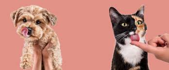 Petsmart offers quality products and accessories for a healthier, happier pet. Pets Deli Premium Tiernahrung Gesundes Hunde Katzenfutter Pets Deli