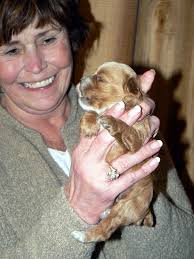 Cheryl Berce Obituary