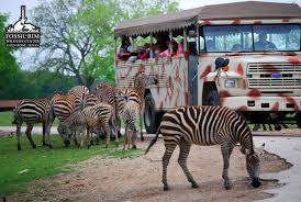 Fossil Rim Wildlife Center Glen Rose Spring Break Trips Texas Destinations